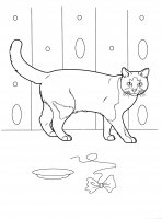 disegni/gatti/gatti_cats_ 26.jpg